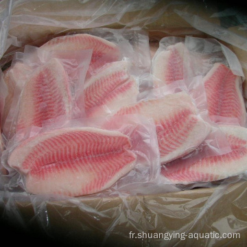 Filet de poisson tilapia biologique congelé à bas prix